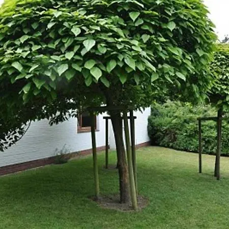 Haus Stella, Whg 19 Ferienhaus Cuxhaven