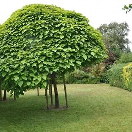 Haus Stella, Whg 19 *